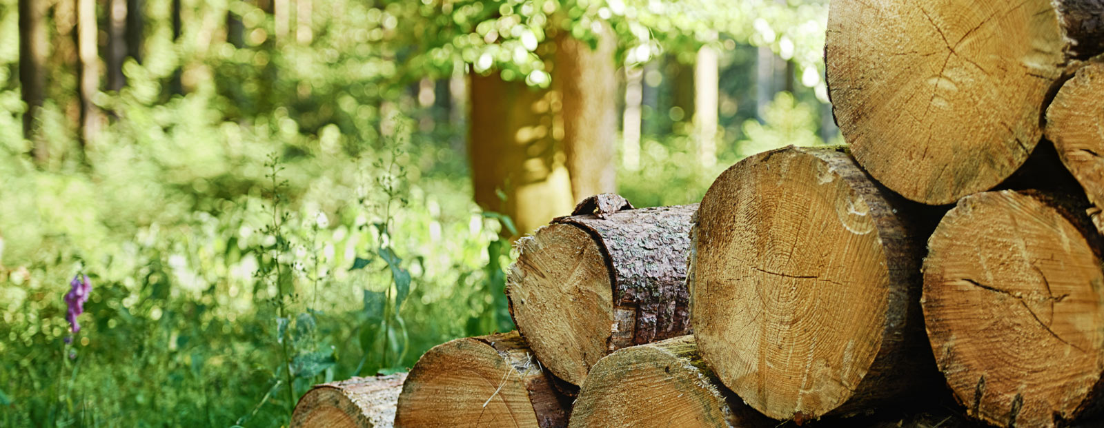 Referenzen Heizungsanlagen